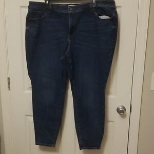 Lane Bryant Women's Dark Blue Jeans